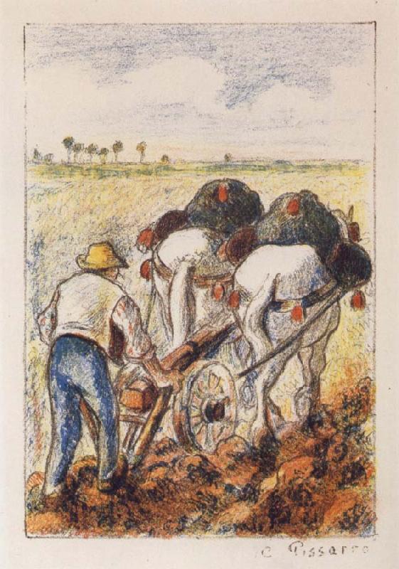 Camille Pissarro The ploughman oil painting image
